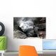 Eruption Wall Decal