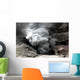 Eruption Wall Decal