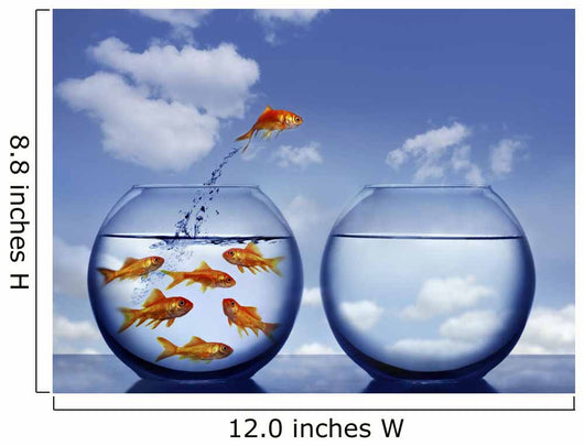 Goldfish Jumping out Water Wall Decal