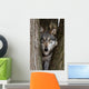 Canis Lupus Wolf Wall Decal