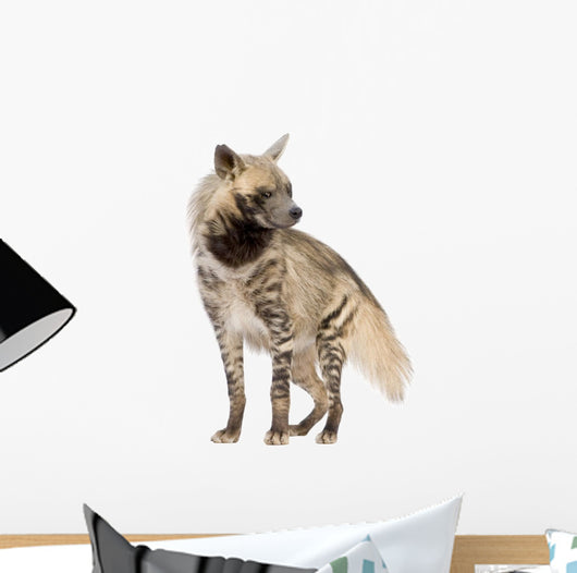 Striped Hyena Front White Wall Decal