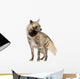 Striped Hyena Front White Wall Decal