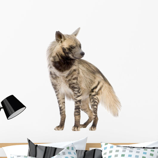 Striped Hyena Front White Wall Decal