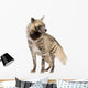 Striped Hyena Front White Wall Decal