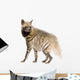 Striped Hyena Wall Decal