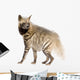 Striped Hyena Wall Decal