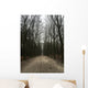 Forrest Winter Wall Decal