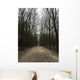 Forrest Winter Wall Decal
