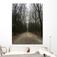 Forrest Winter Wall Decal