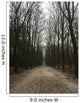 Forrest Winter Wall Decal