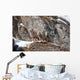 Baby Bighorn Sheep Rock Wall Decal