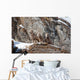 Baby Bighorn Sheep Rock Wall Decal