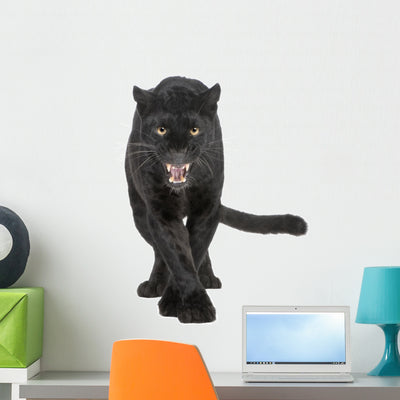 Black Leopard Wall Decal shown on a wall
