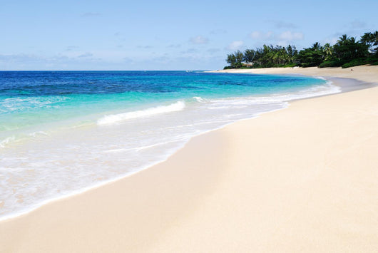 Tropical Beach Scene Sunny Wall Decal