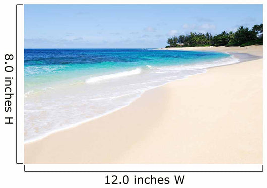 Tropical Beach Scene Sunny Wall Decal