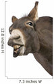 Silly Donkey Wall Decal