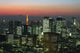 Tokyo Night Wall Decal