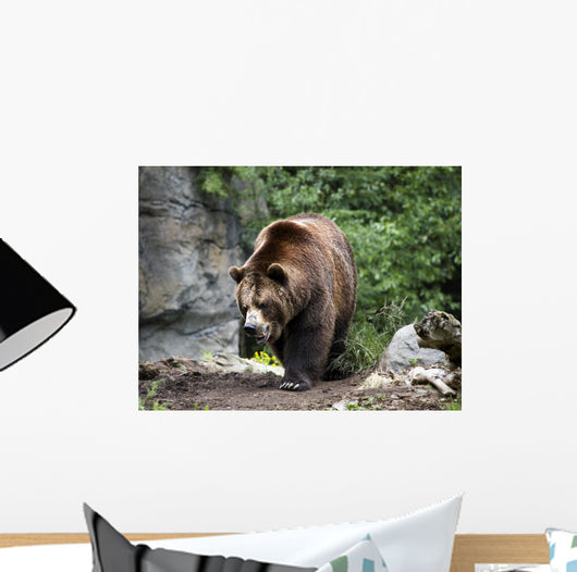 Kodiak Brown Bear Wall Decal