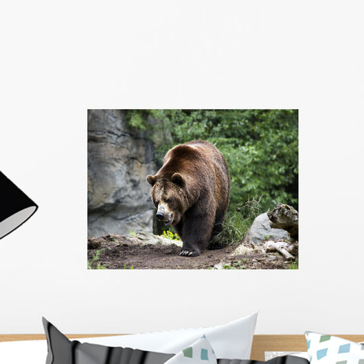 Kodiak Brown Bear Wall Decal