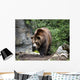 Kodiak Brown Bear Wall Decal