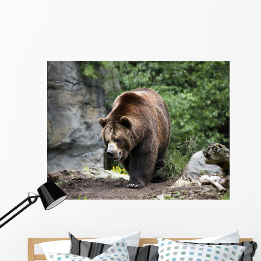 Kodiak Brown Bear Wall Decal