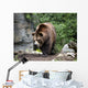 Kodiak Brown Bear Wall Decal