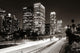 Los Angeles Night Wall Decal