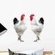 Two White Cocks Wall Decal
