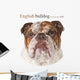 Polygonal English Bulldog Wall Decal