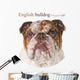 Polygonal English Bulldog Wall Decal