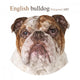 Polygonal English Bulldog Wall Decal