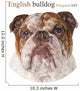 Polygonal English Bulldog Wall Decal