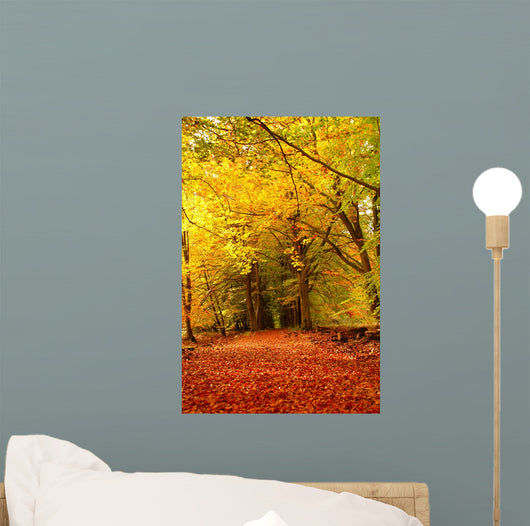 Forest Autumn Wall Decal