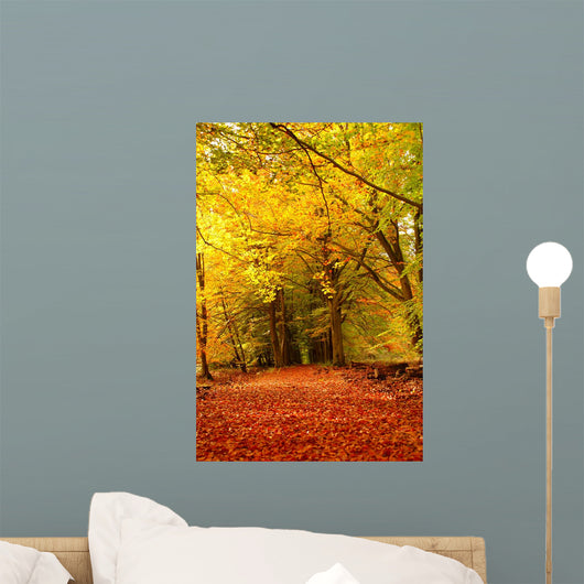 Forest Autumn Wall Decal