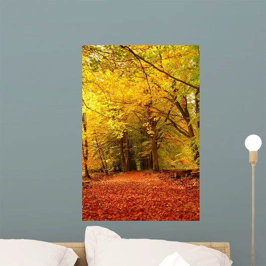 Forest Autumn Wall Decal