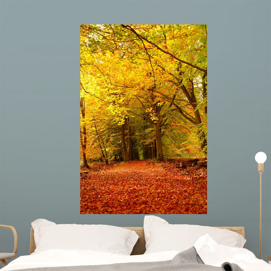 Forest Autumn Wall Decal