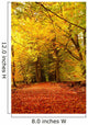 Forest Autumn Wall Decal