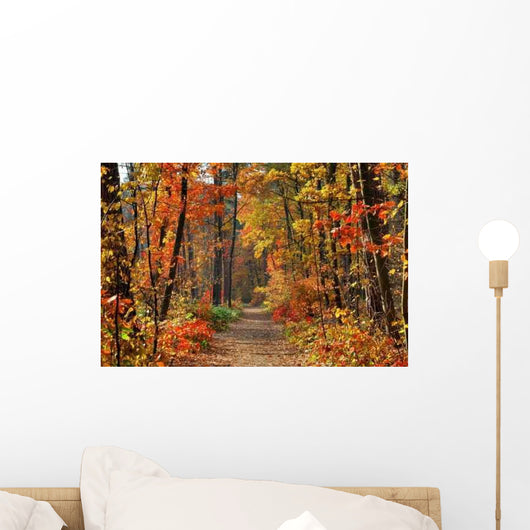 Colors Fall Wall Decal