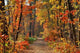Colors Fall Wall Decal