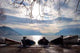 Morgenstimmung Wall Decal