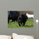 Black French Bulldog Wall Decal