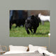 Black French Bulldog Wall Decal