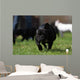 Black French Bulldog Wall Decal
