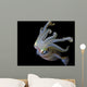 Squid Wall Decal