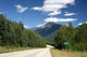 Mount Revelstoke National Park Wall Decal