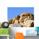 Sassi Cuncheddi Wall Decal