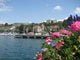 Port Thonon Les Bains Wall Decal