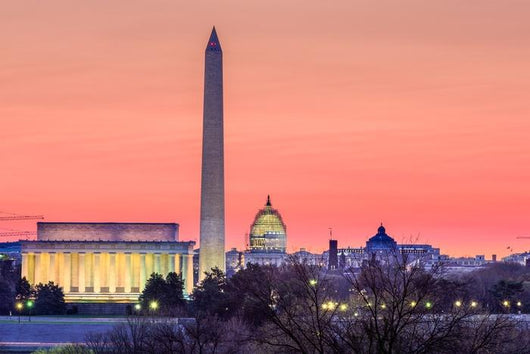 Washington DC Twilight Skyline Wall Decal