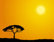 African Tree Wall Decal
