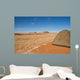 Camping Desert Namib-naukluft National Wall Decal